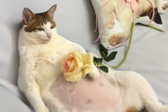 全新的邦货分享来啦